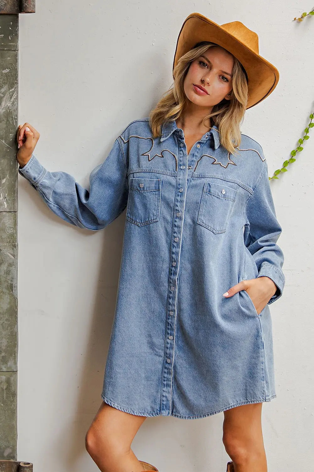 The Cassidy Denim dress