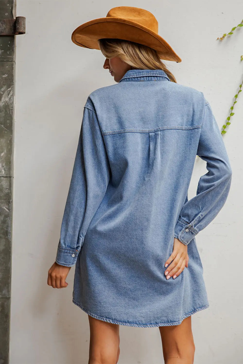 The Cassidy Denim dress