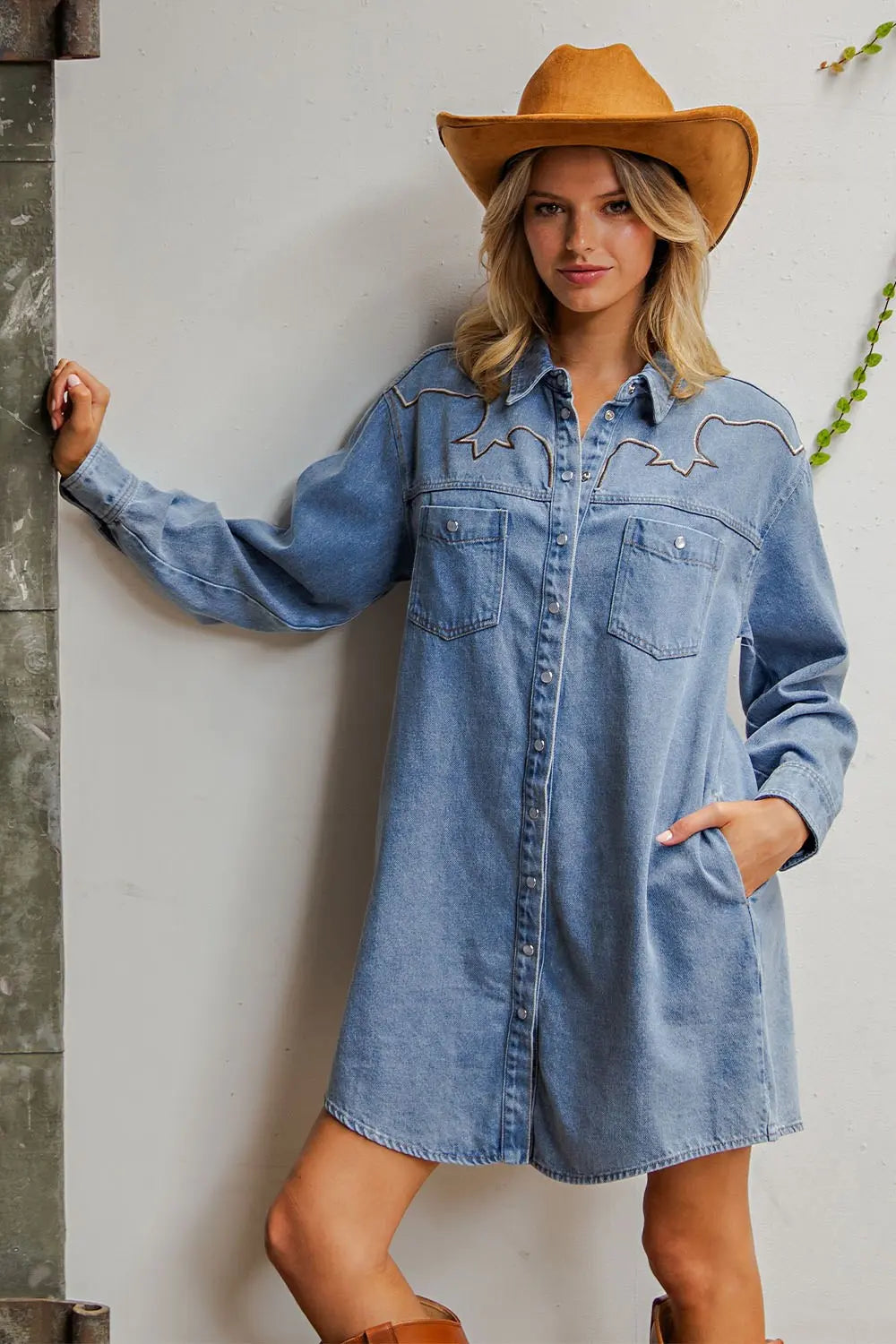 The Cassidy Denim dress