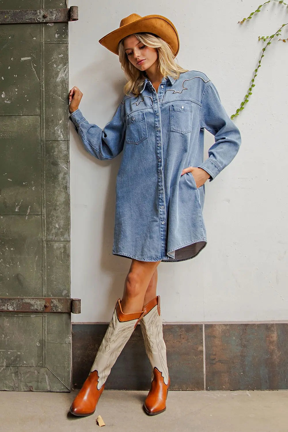 The Cassidy Denim dress