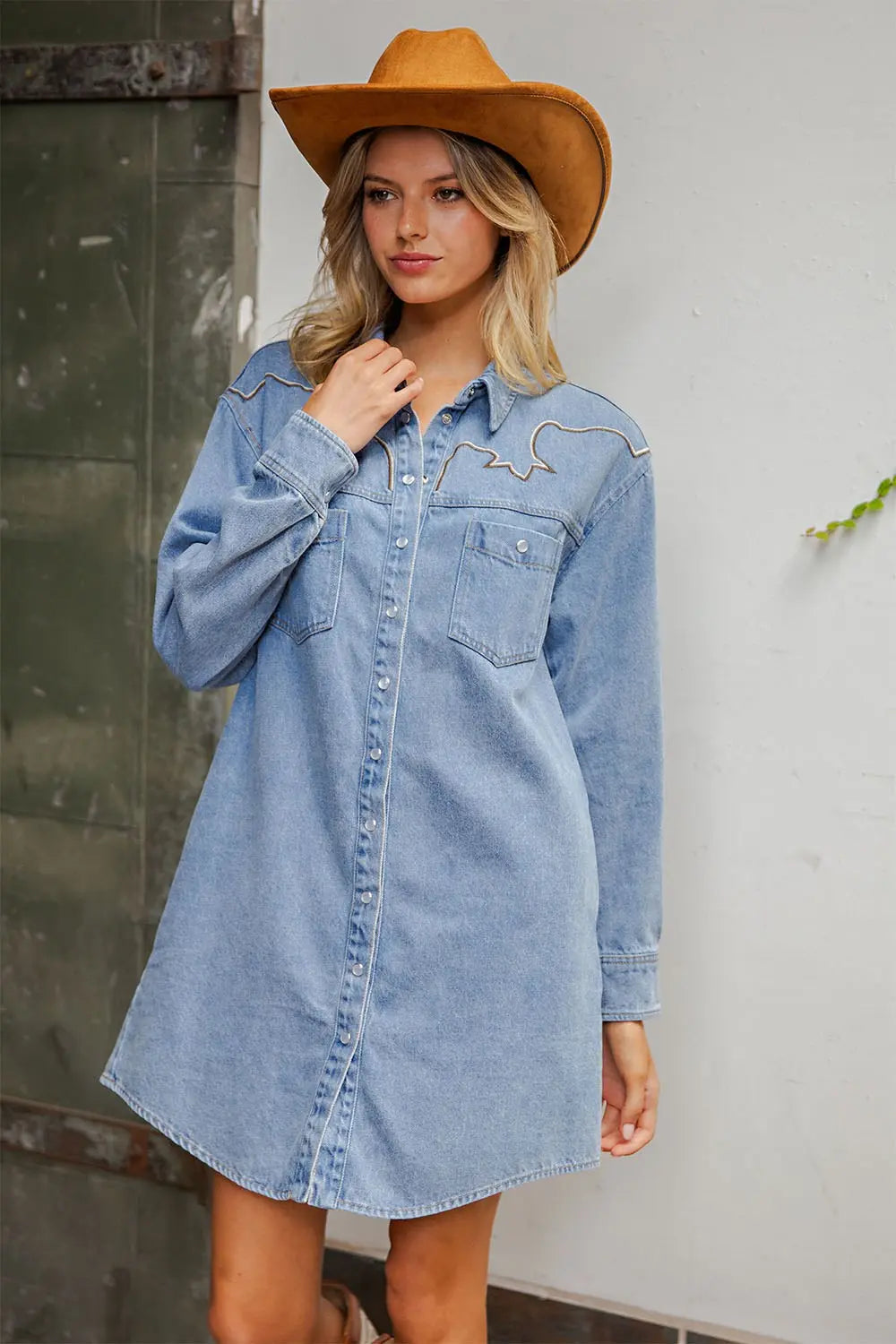 The Cassidy Denim dress