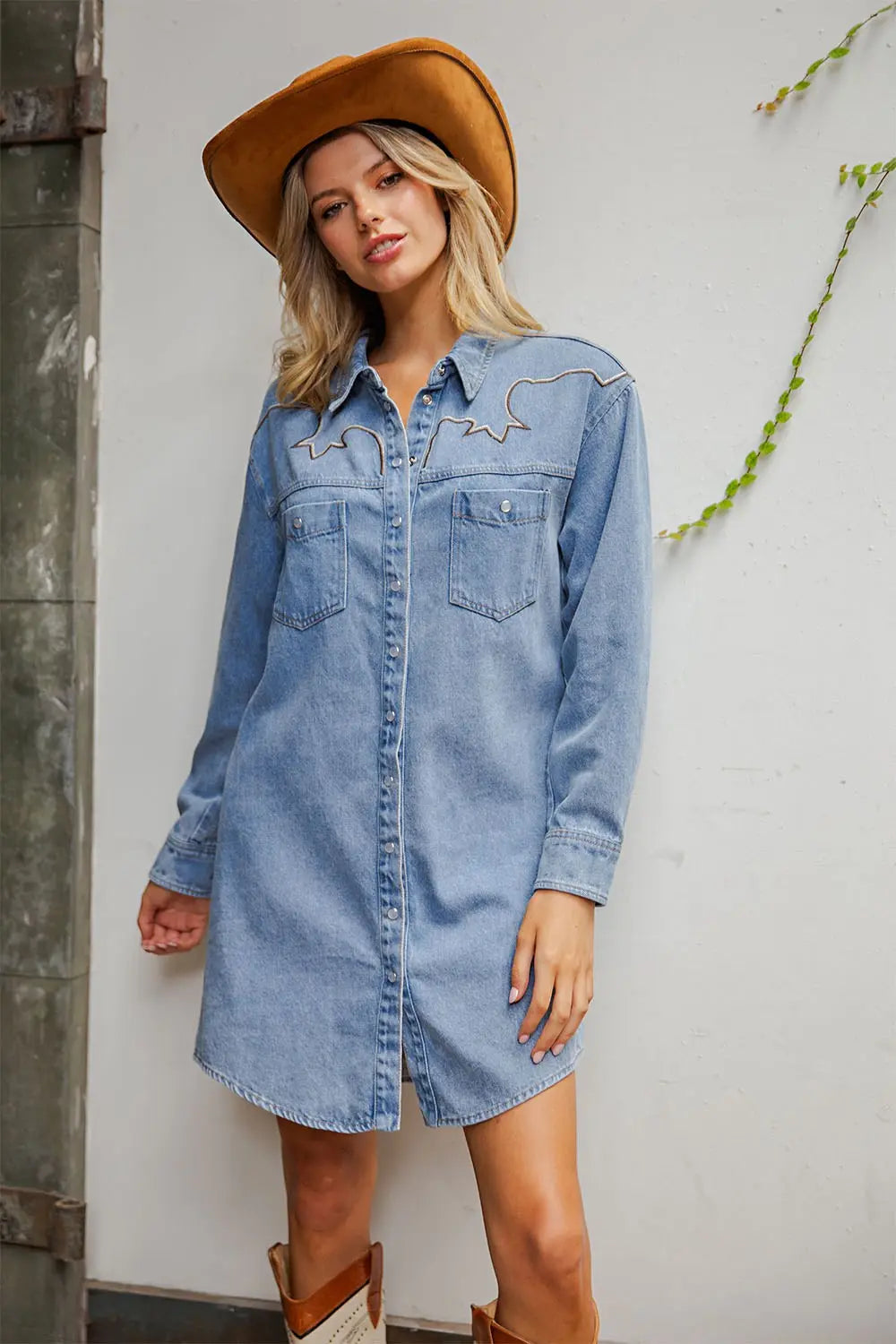 The Cassidy Denim dress